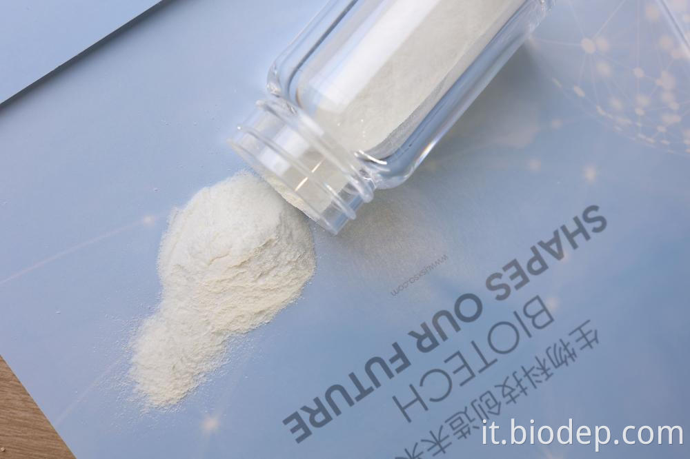 Akkermansia Muciniphila Akkermansia muciniphila